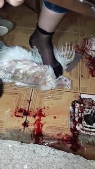 745---青萍女尊资源分享平台