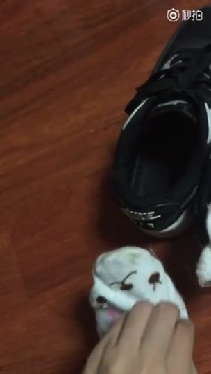 2017-11-17 132537-青萍女尊资源分享平台