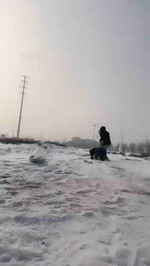 雪地的一场遛狗之旅 思诺  2bzha-青萍女尊资源分享平台