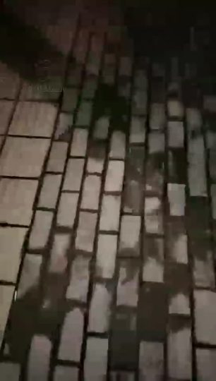 林夕女王 路边找个m玩 广场羞辱爬行 钻胯 闻鞋-青萍女尊资源分享平台