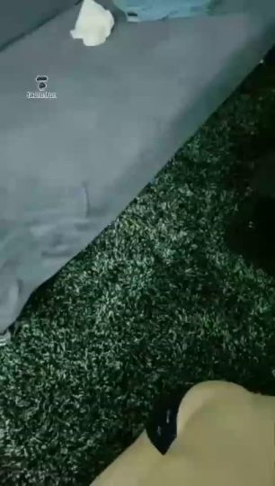 短发 这狗就爱裹我的脚趾-青萍女尊资源分享平台