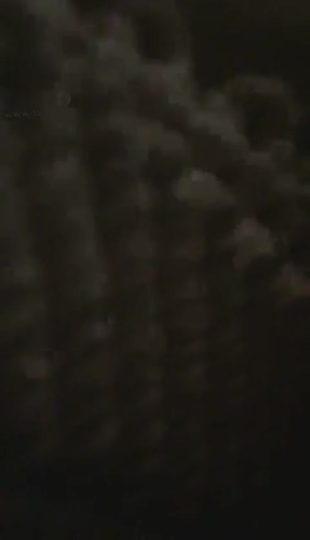 国民queen 真实_调教滴滴司机后续 2-青萍女尊资源分享平台