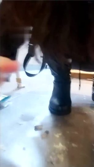 Verin维因 长靴 踩踏 羞辱-青萍女尊资源分享平台