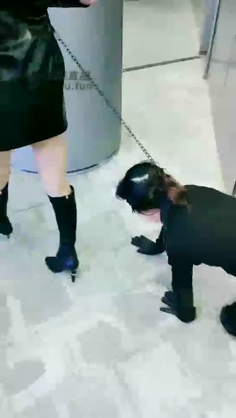 V神 耻 街调 极贱人形母犬-青萍女尊资源分享平台