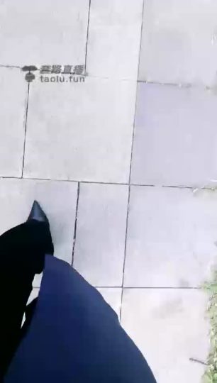 1111.【丝皇女王】公园玩耍圈养狗【80分钟】【标清】-青萍女尊资源分享平台