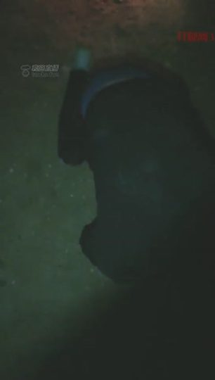 1779.【可可S】户外遛狗舔鞋子闻袜子【37分钟】【标清】-青萍女尊资源分享平台