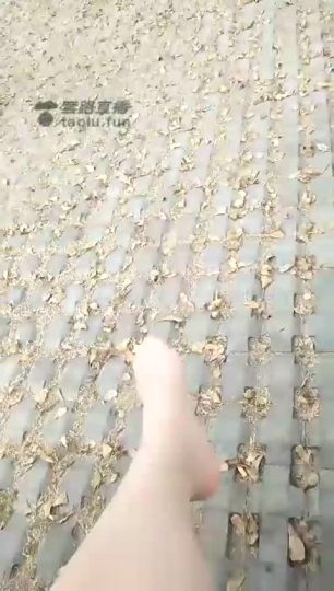 4514.【都市艳主】大白天公园遛狗【12分钟】【标清】-青萍女尊资源分享平台