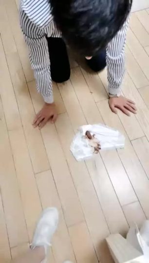 微希 陌生人被迫吃黄金-青萍女尊资源分享平台