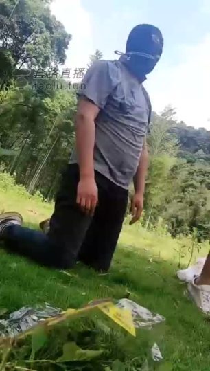 韩韩S 户外调只宠物狗-青萍女尊资源分享平台