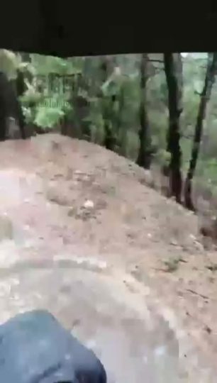 悦主大人 户外舔鞋 遛狗 雨中虐狗 合集-青萍女尊资源分享平台