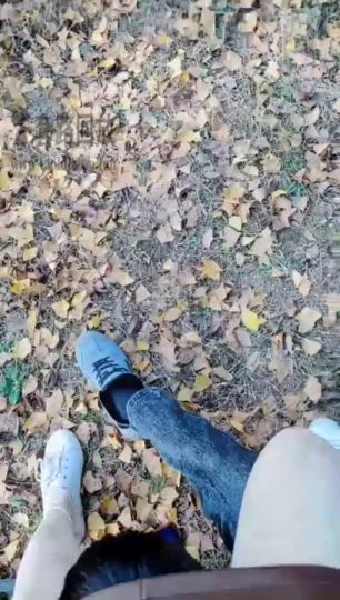 魅影女神 好天气遛狗偶遇 羞辱虐待强迫-青萍女尊资源分享平台