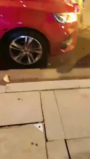 萝莉糖糖和小拽主人 双主户外勾搭滴滴司机-青萍女尊资源分享平台