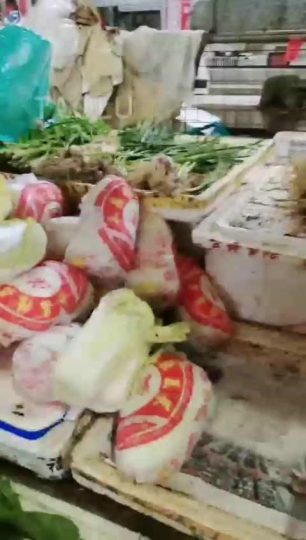 佛山佛果 调教素人-青萍女尊资源分享平台