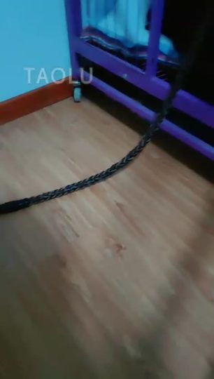 东营天香百合 贱狗来了-青萍女尊资源分享平台