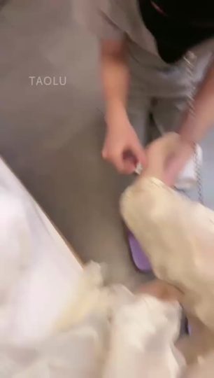 芊白大大 惩罚家m搞卫生-青萍女尊资源分享平台