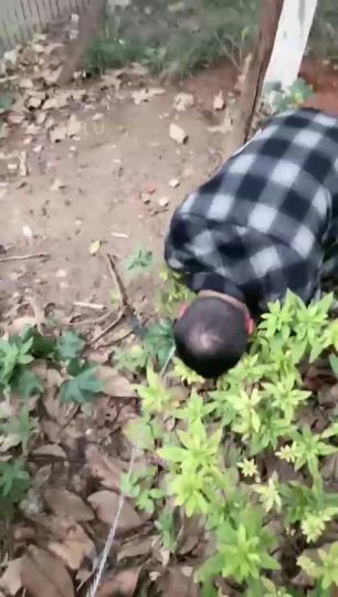 风吟女神 首次户外公园调-青萍女尊资源分享平台