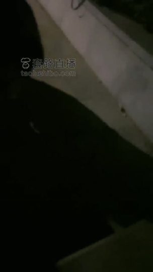 雨琦 户外玩女同事和狗奴-青萍女尊资源分享平台