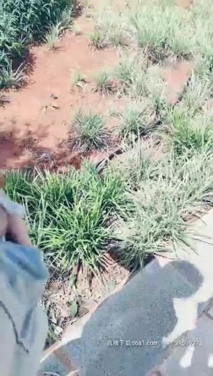 夫妻吧导航_精彩不断_日更频道16-青萍女尊资源分享平台