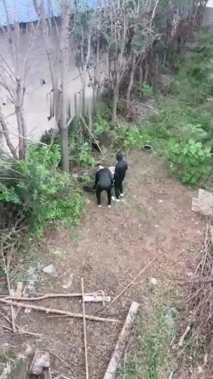 9 (9)-青萍女尊资源分享平台