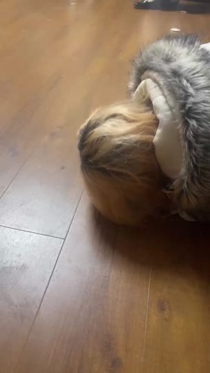 1 (11)-青萍女尊资源分享平台