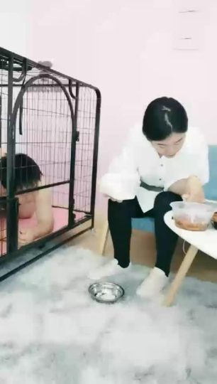 video_2022-04-20_10-36-45-青萍女尊资源分享平台