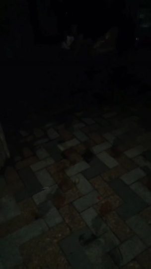 video_2021-09-29_02-21-54-青萍女尊资源分享平台