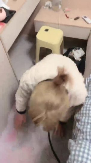 貂蝉 素人室友变女仆-青萍女尊资源分享平台