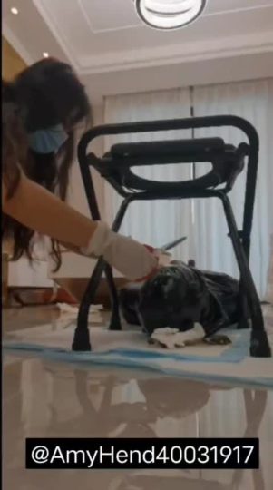 1712462735165_6285323967817321021-青萍女尊资源分享平台