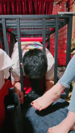 兔兔大人 圈养狗-青萍女尊资源分享平台