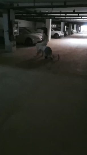 凌儿女神 地下室调教-青萍女尊资源分享平台