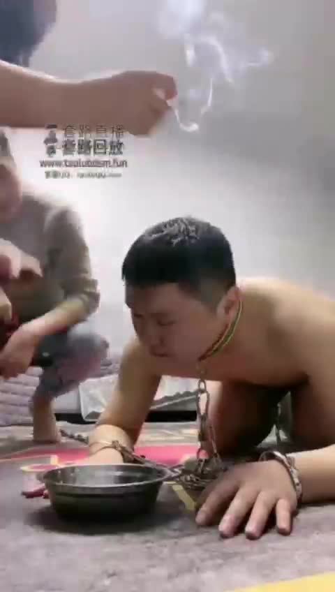 1722660035606_video_2022-02-02_00-40-30-青萍女尊资源分享平台