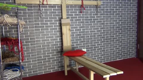 1722775342910_模特工作室流出_国_模_雅琪和悠悠_制_服_女_同_假_鸡_巴_互玩720P高清无水印原版-青萍女尊资源分享平台