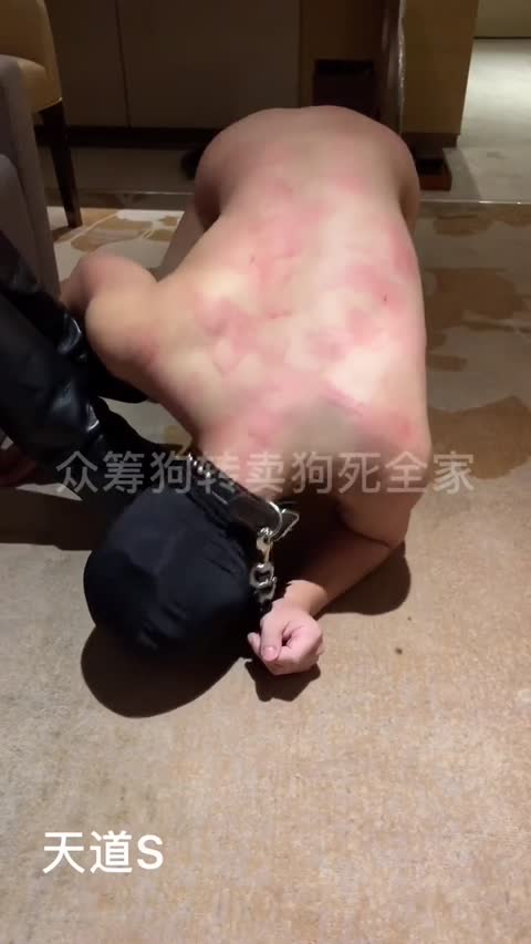 1722972347926_奖励靴奴-青萍女尊资源分享平台