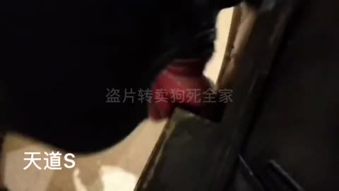 1722963904640_Muddy bootslicker 4-青萍女尊资源分享平台