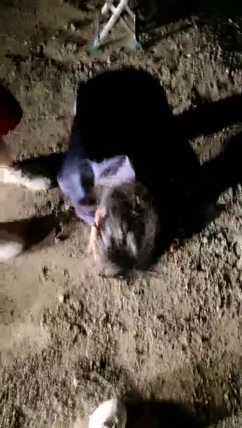 1722643283213_安小可沙滩被子墨和闺蜜玩-青萍女尊资源分享平台