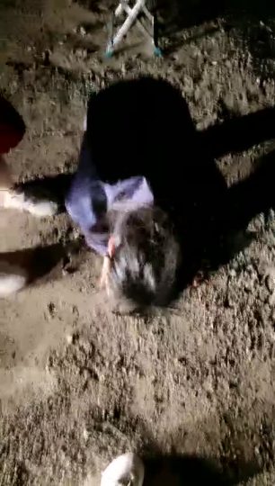 1723083231414_安小可沙滩被子墨和闺蜜玩-青萍女尊资源分享平台