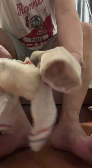 1731046838202_IMG_4073-青萍女尊资源分享平台