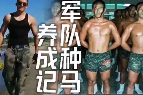 军队种马养成-青萍女尊资源分享平台