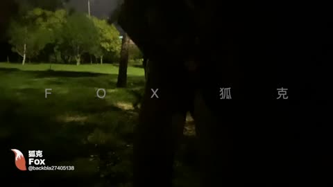 HEVC_直男野战-青萍女尊资源分享平台