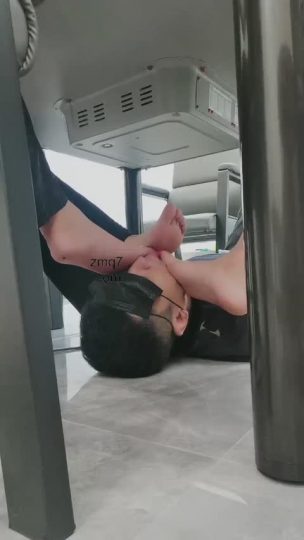 文文 澄清式-青萍女尊资源分享平台