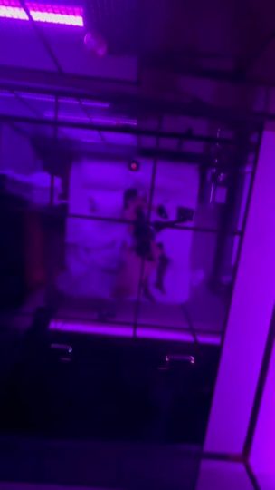 IMG_1846-青萍女尊资源分享平台