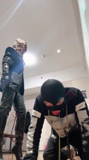 倪小主 开发新手-青萍女尊资源分享平台