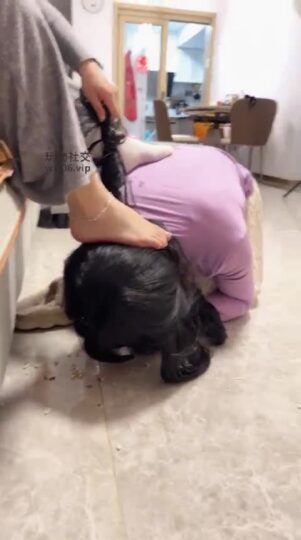 南月 强制女奴喝圣水-青萍女尊资源分享平台